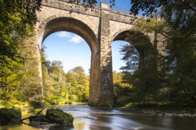 Zoom-Motohome-hire-Muiravonside-Country-Park