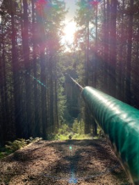 Zip line through forest trees- Scotland motorhome hire