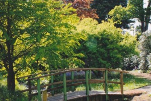 Motor home hire in Peebles, Scottish Borders