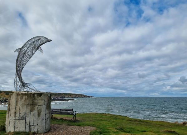 Portsoy Dolphins Dog friendly campervan hire