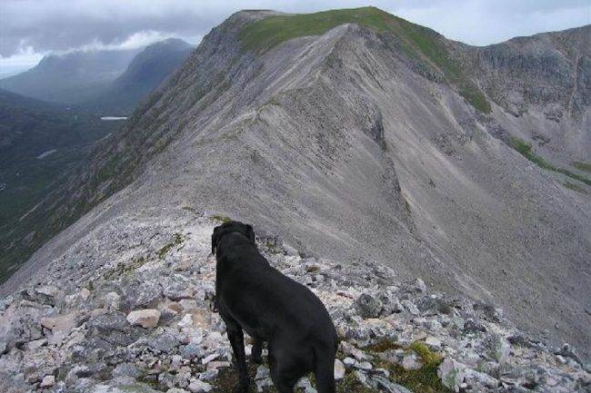 Ben_Eighe’s_Ridge_and_Coinneach_Mhor_-_geograph.org.uk_-_68467