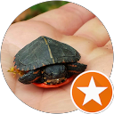 Cheryl Davis profile picture